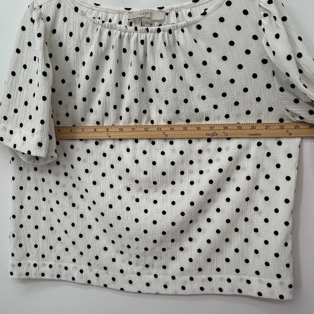 LOFT Womens Large Polka Dot Short Sleeve Puff Blouse White Black Textured Top